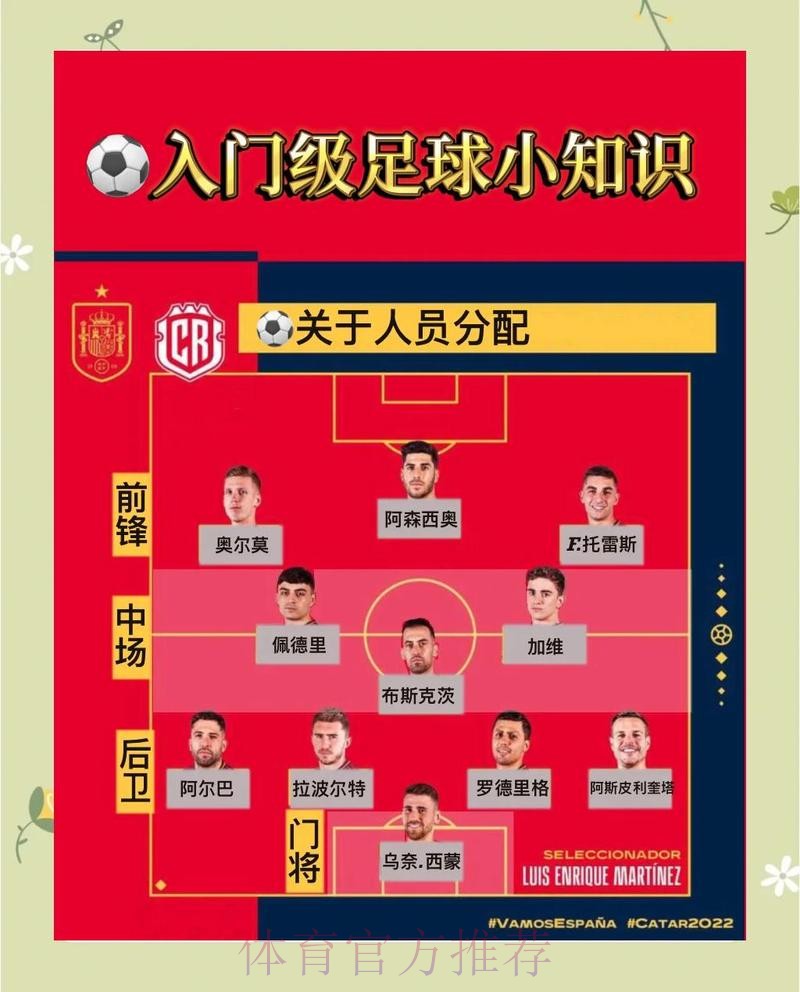 官方详解：世界杯预测教程完整指导
